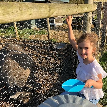 Willow Court Farm Studio South & Petting Farm, 8 Mins From Legoland & Windsor, 15 Mins From Lapland Uk Экстерьер фото