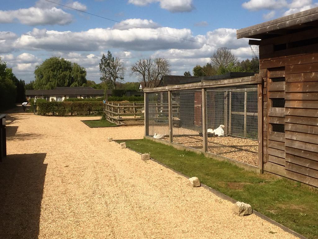 Willow Court Farm Studio South & Petting Farm, 8 Mins From Legoland & Windsor, 15 Mins From Lapland Uk Экстерьер фото