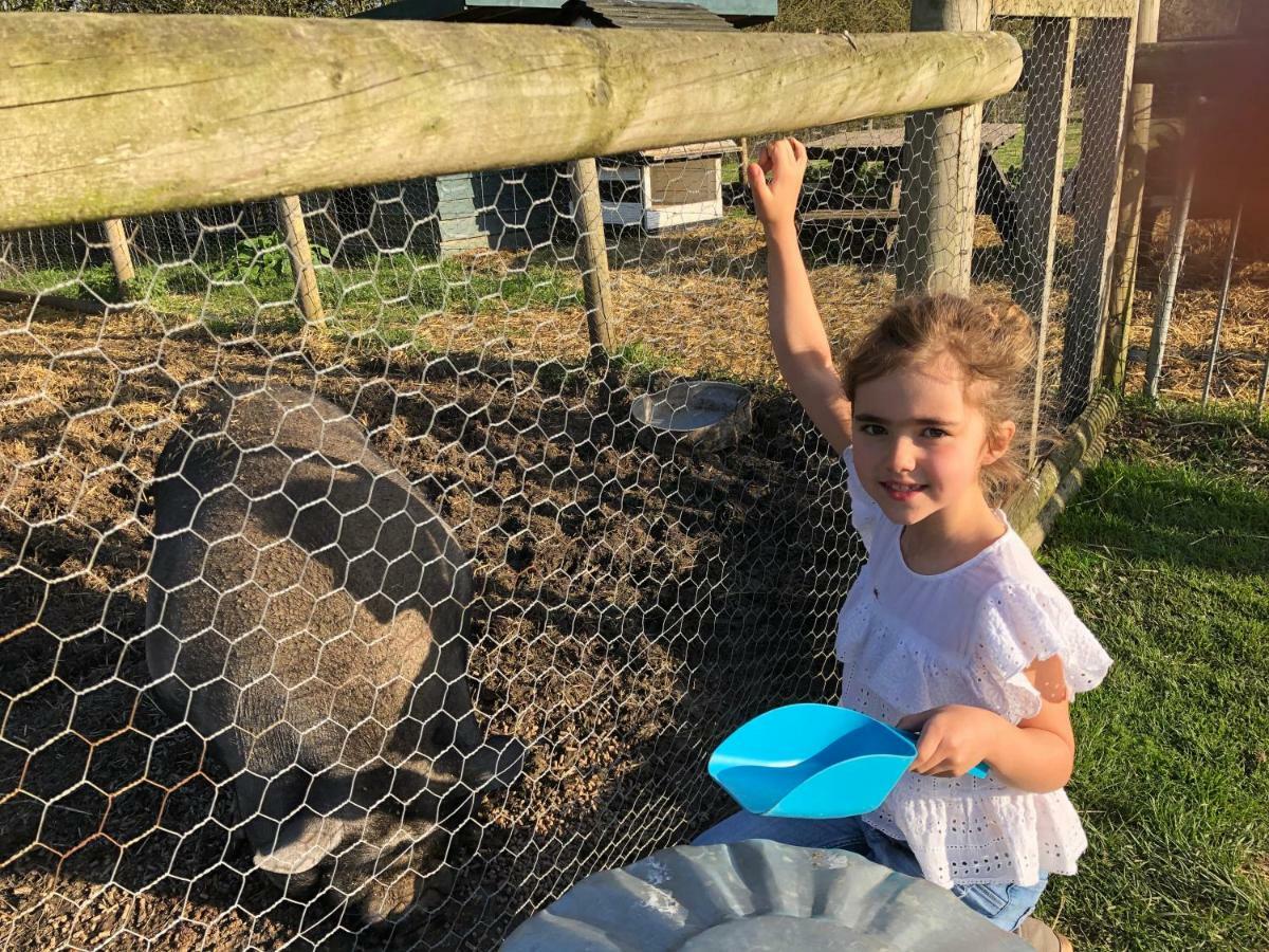 Willow Court Farm Studio South & Petting Farm, 8 Mins From Legoland & Windsor, 15 Mins From Lapland Uk Экстерьер фото