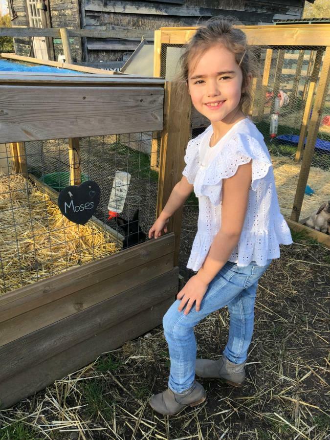 Willow Court Farm Studio South & Petting Farm, 8 Mins From Legoland & Windsor, 15 Mins From Lapland Uk Экстерьер фото